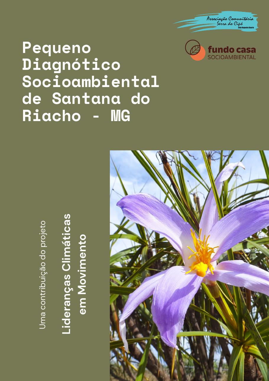 Capa da publicação Pequeno Diagnóstico Socioambiental de Santana do Riacho — MG